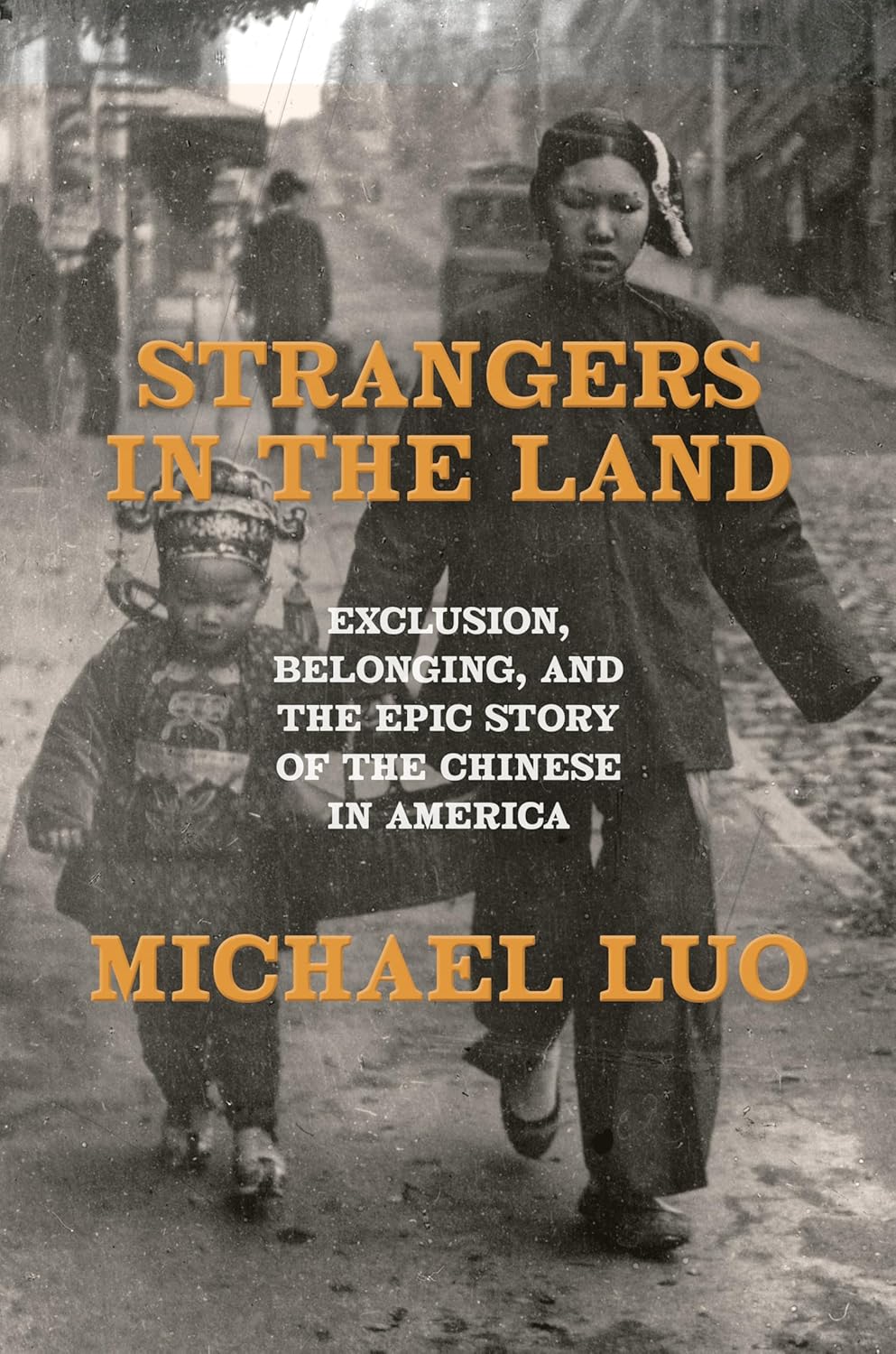Strangers in the Land: Exclusion, Belonging, and the Epic Story of the Chinese in America, by Michael Luo